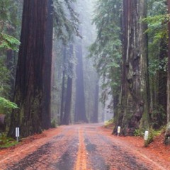 National Park Tunes