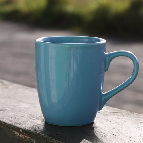 The Endowment Effect