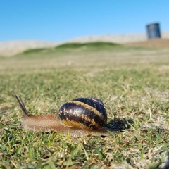 The Death of a Fairytale