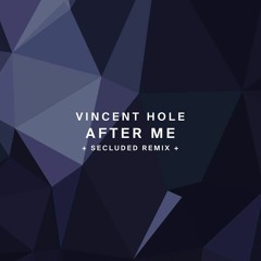 Vincent Hole - After Me Ep [!Organism 119]