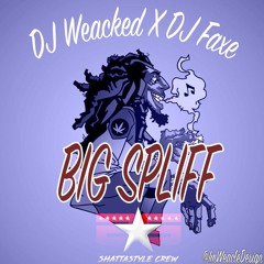 01. Big Spiff  - Sizzla ( DJ Weacked X DJ Faxe )