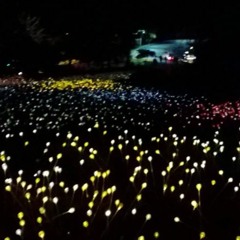 Love's Bitter End (Live on KZUM radio)