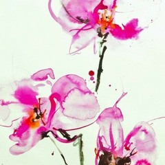 Orchid