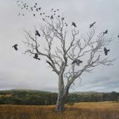 In Love With A Ghost