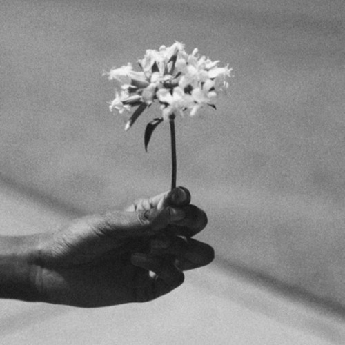 closer than a lover (live)