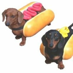 minimix saucisses à la maison ...