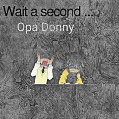 Opa Donny - Wait A Second (Mixed By SRStudios)