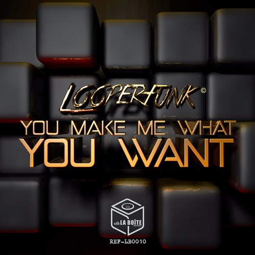 Looperfunk - You Make me what you want