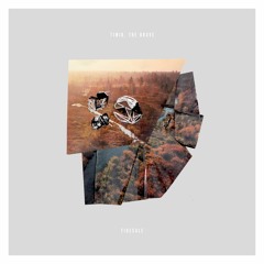 Timid, The Brave - Time to Go