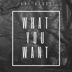 What You Want?