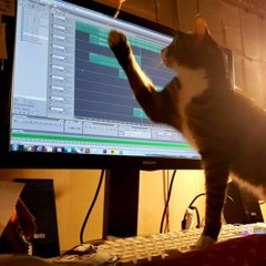 Symphoniouz 20170304 번개 (LML, Fillu, Mr.Sari)