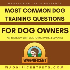 Wagnificent Dog Training Questions Answered - The full interview with Lisa Tonks