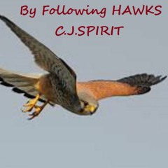 By Following Hawks - Crazy Jack Spirit