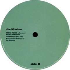 joe montana - white horse - hole rec. 1999