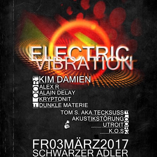 Chris Lehmann @ Electric Vibration/Schwarzer Adler(Tannheim) 03.03.2017