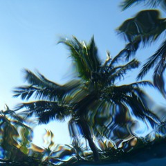 summer with a side of funk