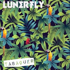 Lunerfly - Tabaguer (Original Mix) PREVIEW