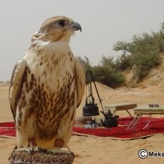 خميس ناجي  أغنية داعش من اللي نهابوها