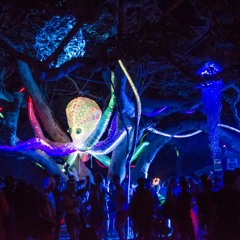 Pete Rowbots - Kilifi NYE Festival Closing Set - 2016/2017 - Kenya