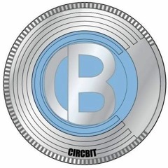 Interview with Ben Lorber of CircBit