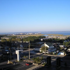 Animal Vegetable Mineral - Mac 5