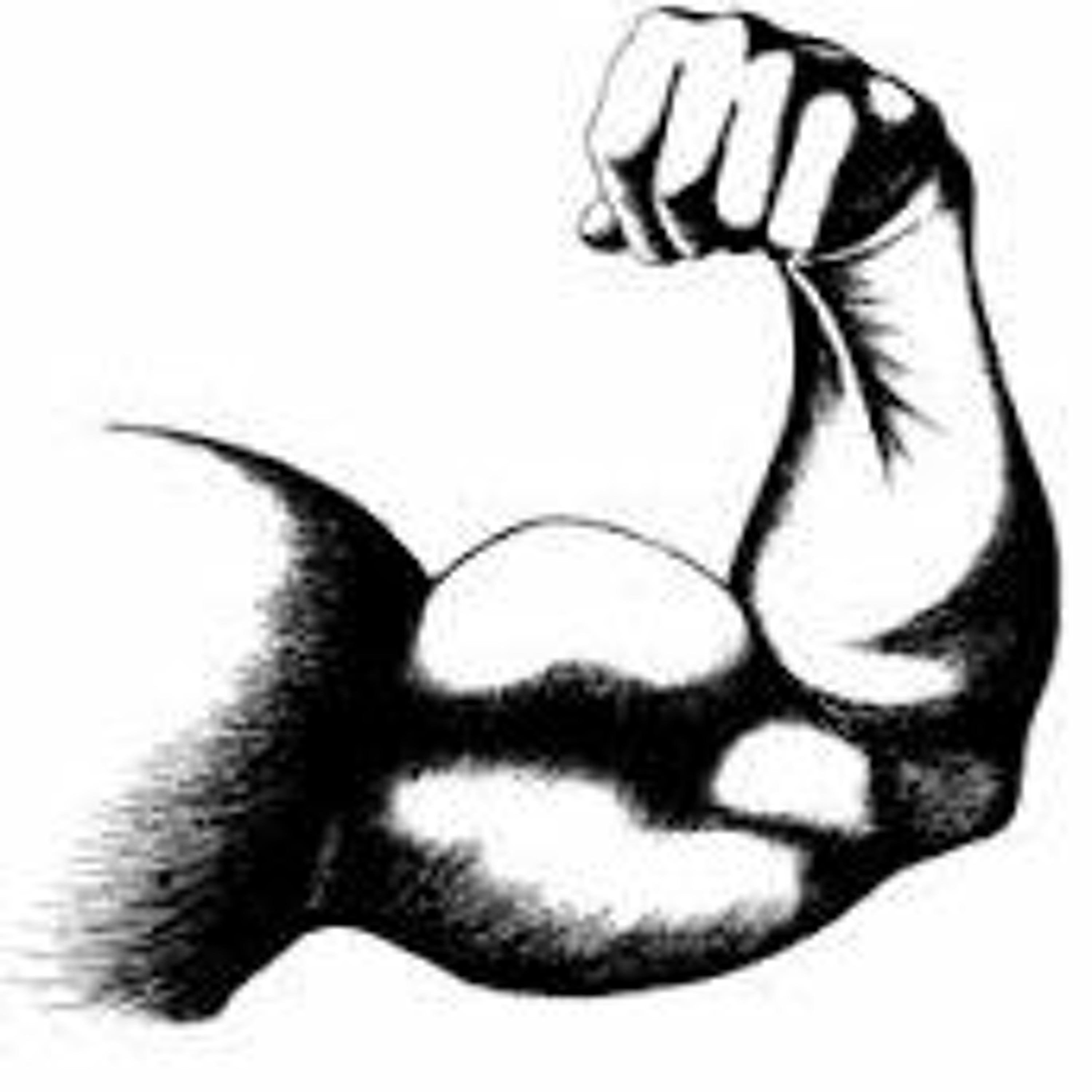 What is the difference between an Amino Acid and Protein? episode artwork