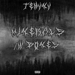 TEHVNV - Mineral$ /W BONES