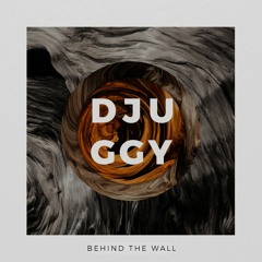 Djuggy - Animosity