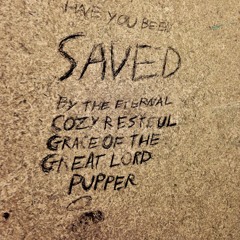 Have You Been Saved By Our Lord Pupper (graffiti)