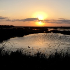 music of nature podcasts