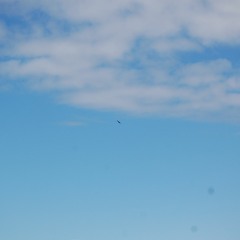 Mexico - Bob Gallie @The Glass Shack