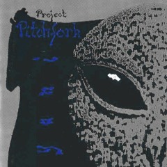Project Pitchfork - Lost Youth Of A Prisoner (Remade by Thomas Navas)