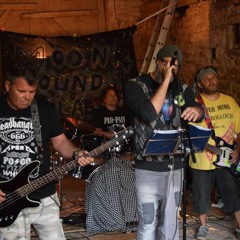 "Live, love, laugh and play loud" , Extracts from Moon Sound Malabar live performs