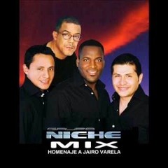 ll 100 Mix Grupo Niche (Salsa con Clave) Prod JohansebasthianDj(Themegaevolution)