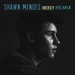 SHAWN MENDES - MERCY (KRAIN REMIX)