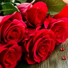 Red Roses