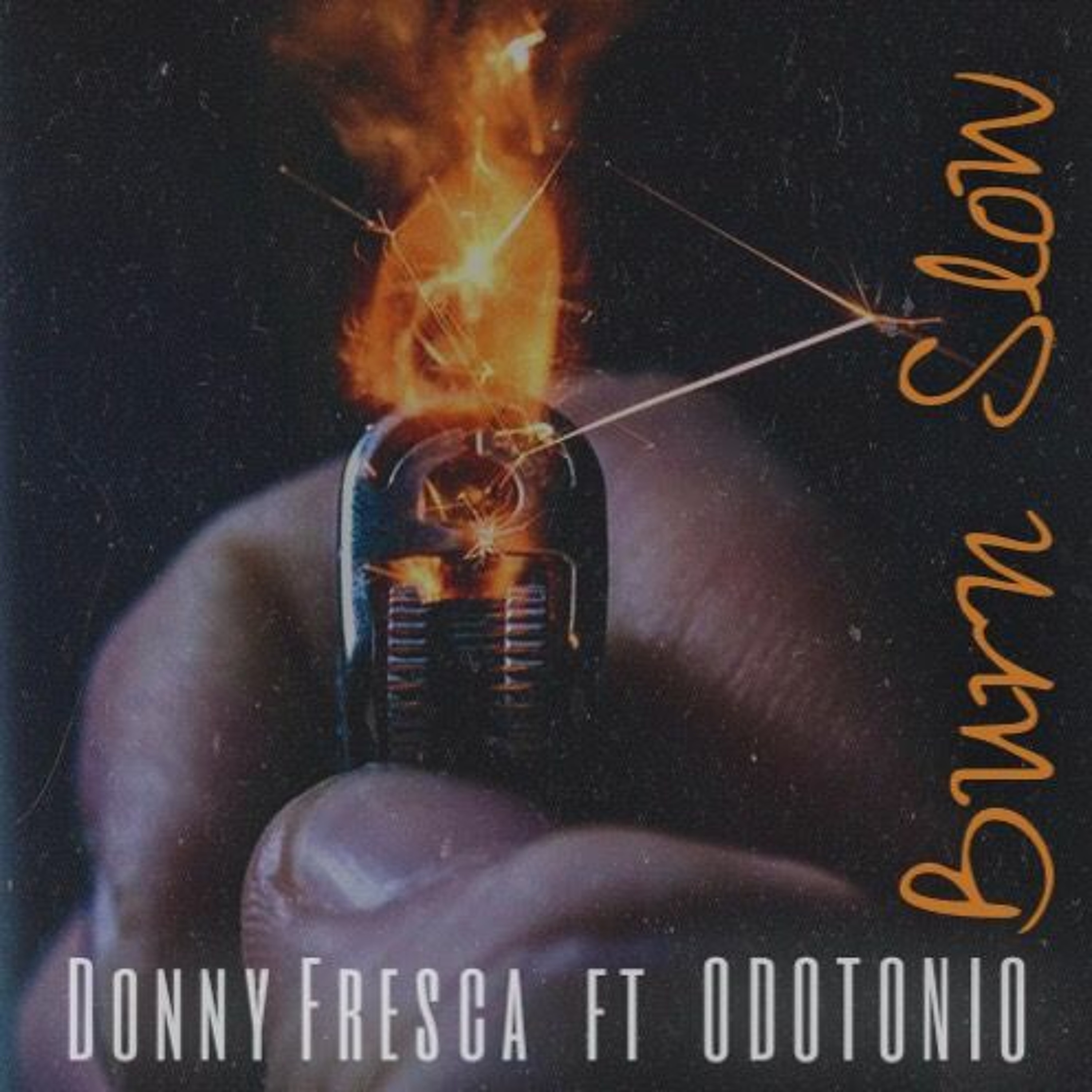 Donny Fresca the VlphV Wolph