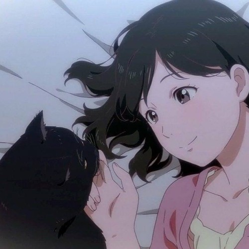 g o o d n i g h t  Linus-Kun 🌙