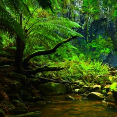 Utopian Timeline Prospecting