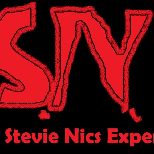 The Stevie Nics Experience Episode 16 With Shane Guilfoyle  From The History Of Hockey Podcast