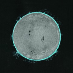 Endless Boogie "Vibe Killer"
