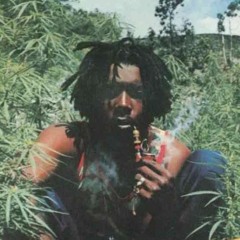 Bvi