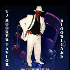 05 - T.J. Hooker-Taylor - Jody Is Hittin' It.mp3
