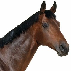 Get Fkin Good (I made this for a joke)