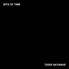 Bits of Time