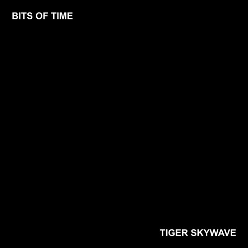Bits of Time