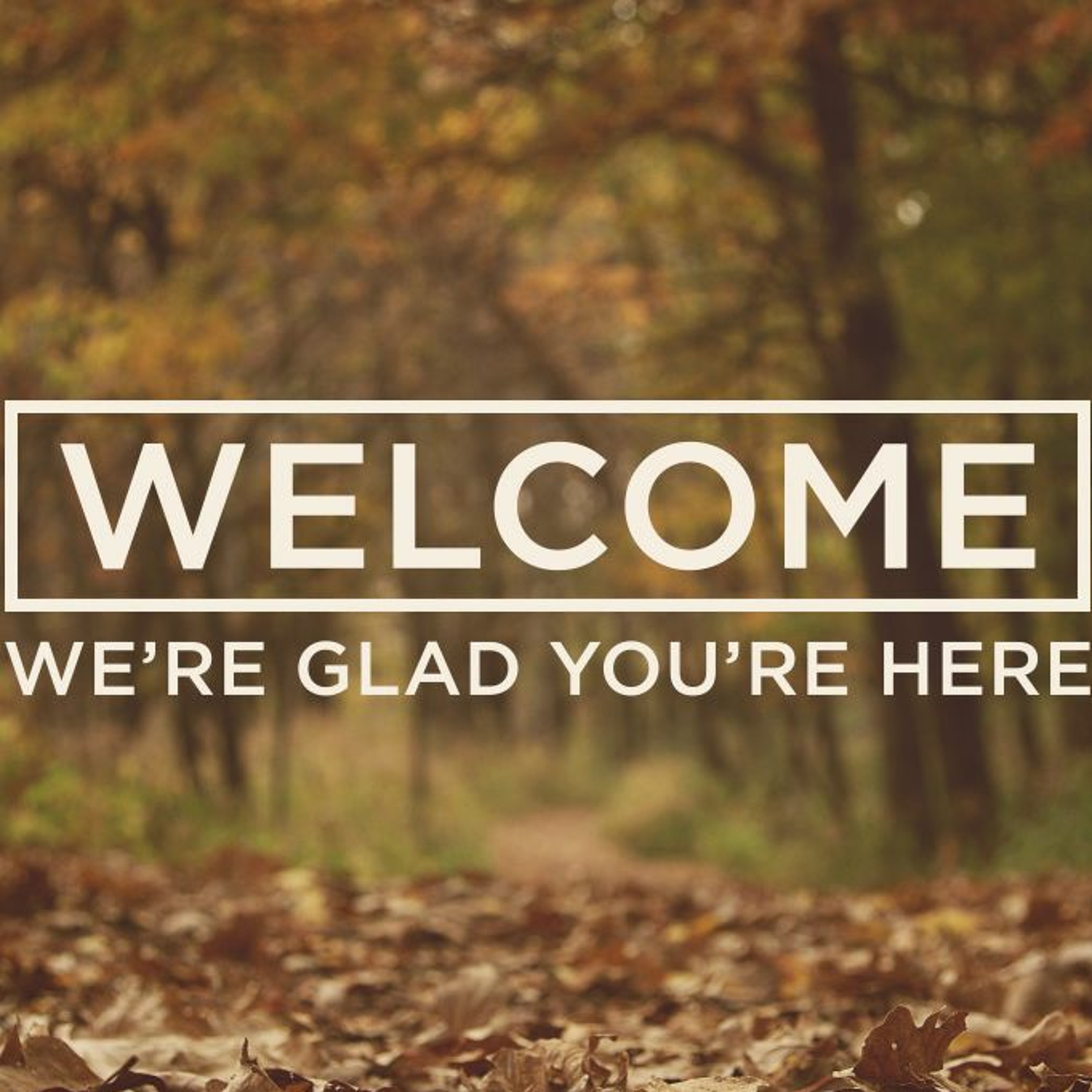 Chapelwood Sermons