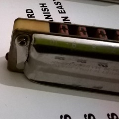 I'm A Man Of Constant Sorrow - The Surfbirds (trad.)