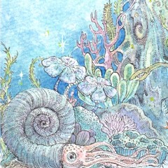 Ammonite