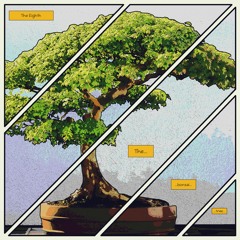 The Bonsai Tree Pt.2